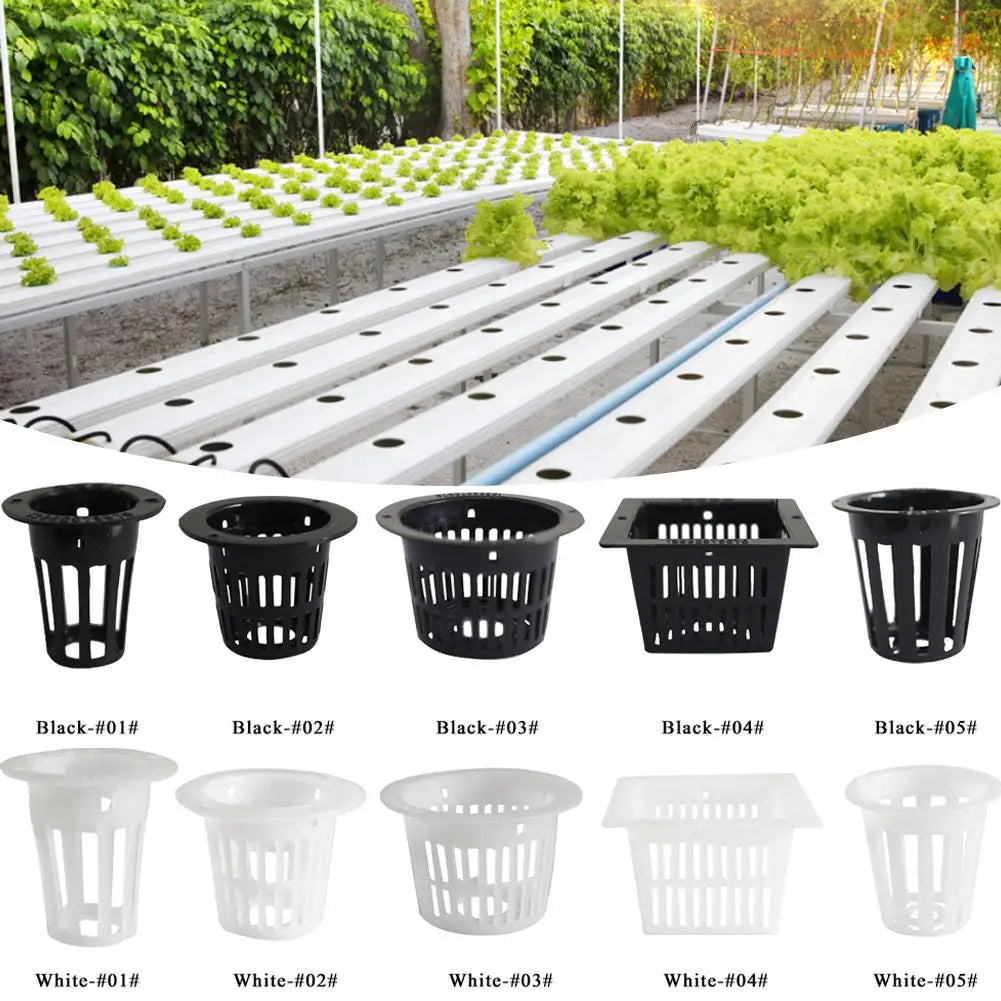 Hydroponic Colonization Mesh Pot, Net, Cup,  Basket