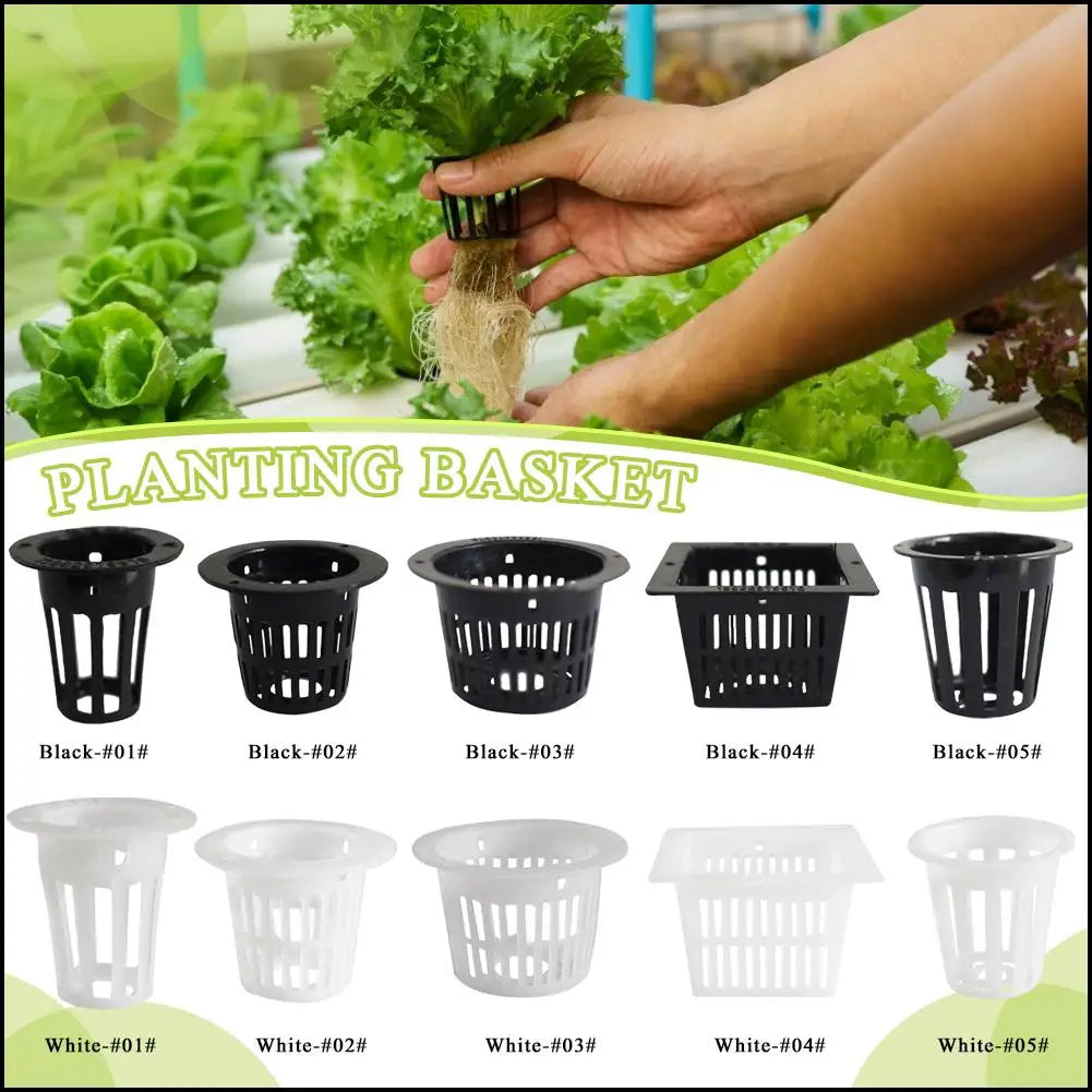 Hydroponic Colonization Mesh Pot, Net, Cup,  Basket