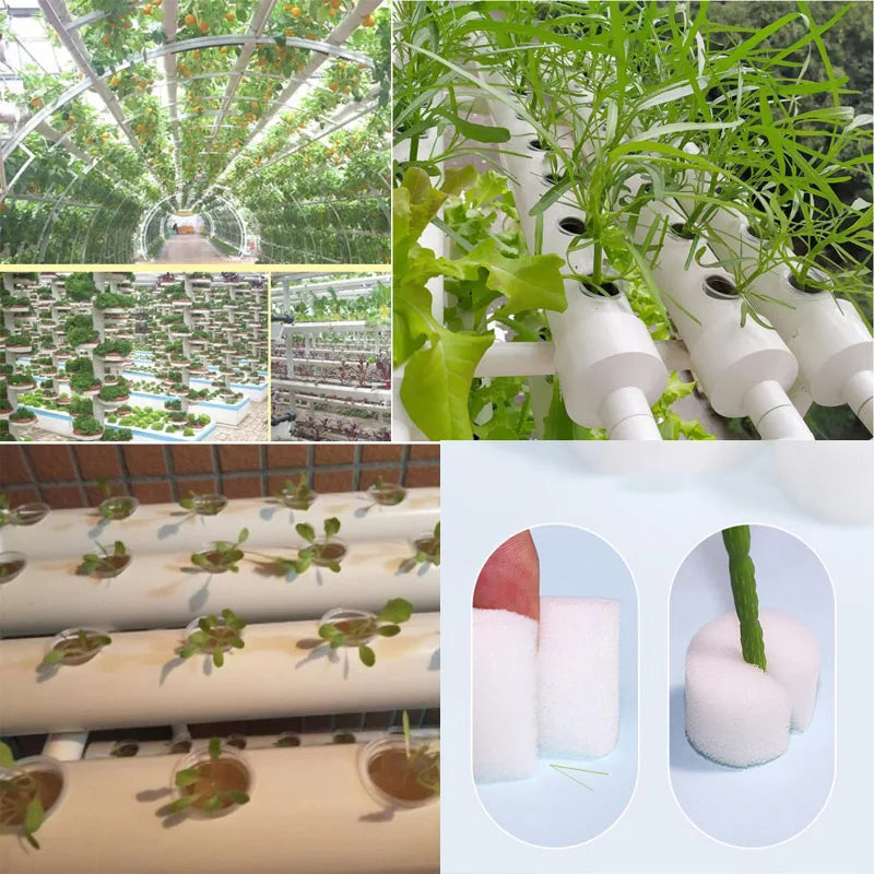 50pcs Hydroponic Soilless Mesh Net